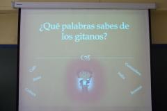 exposicion_de_cultura_gitana_1_20131127_1909826711